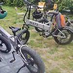 Stokkegaardens *